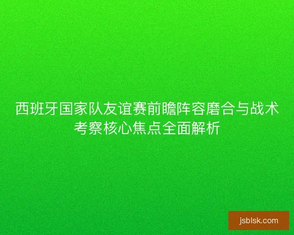 西班牙国家队友谊赛前瞻阵容磨合与战术考察核心焦点全面解析